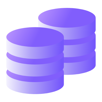 IT Infrastructure & Systems